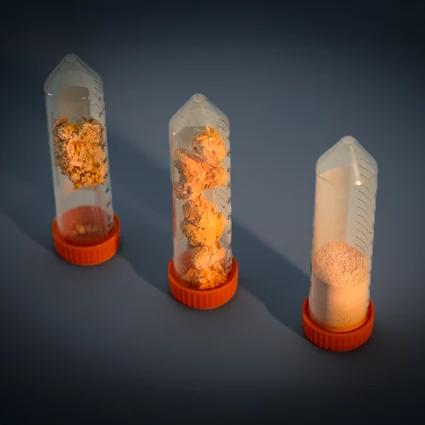 Emberx fx 00381holytrinity adam matalon